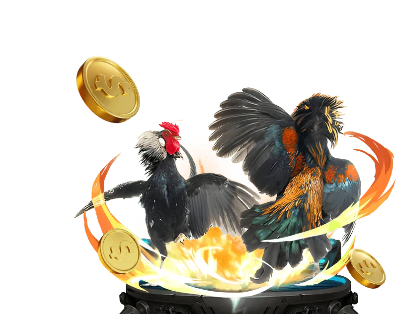 Cập nhật chính sách và tài liệu pháp lý của nhà cái hdbet